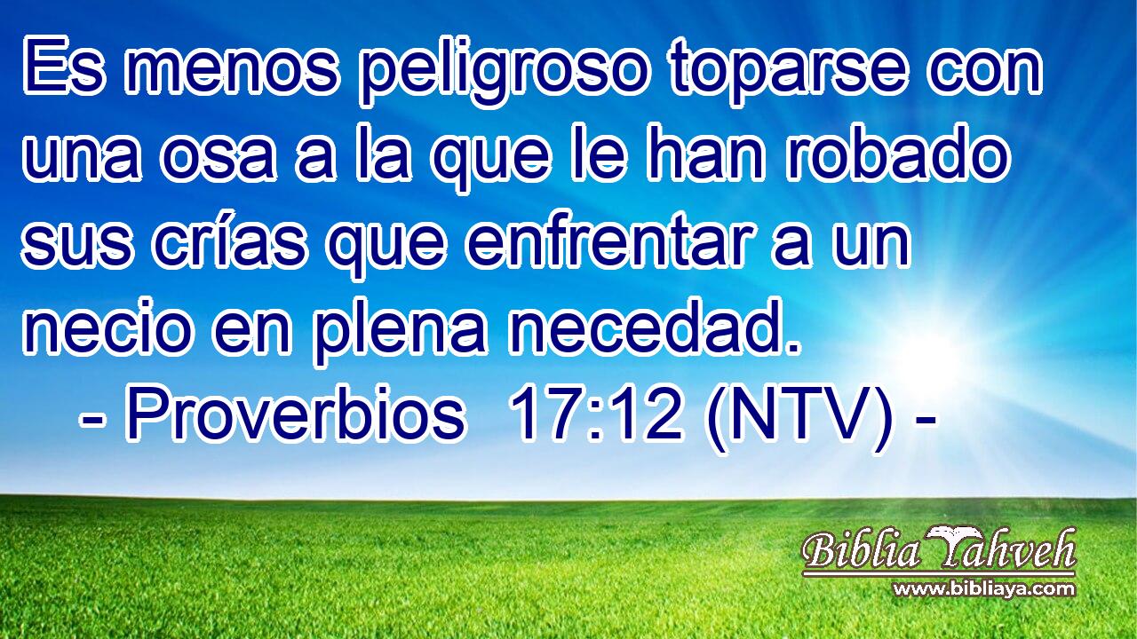 Es menos peligroso toparse con una osa a la que le han robado sus crías que enfrentar a un necio en plena necedad.