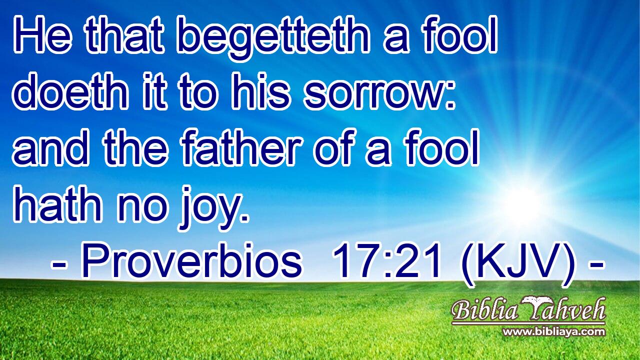He that begetteth a fool doeth it to his sorrow: and the father of a fool hath no joy.