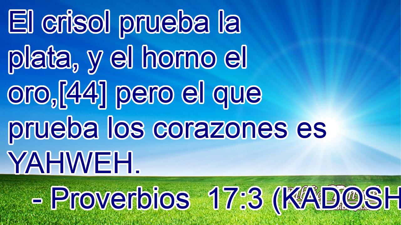  El crisol prueba la plata, y el horno el oro,[44] pero el que prueba los corazones es YAHWEH. 