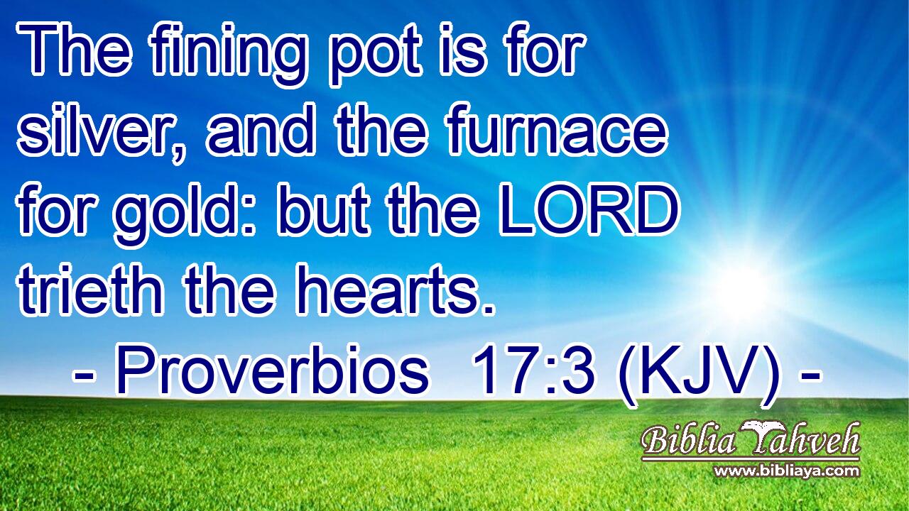 The fining pot is for silver, and the furnace for gold: but the LORD trieth the hearts.