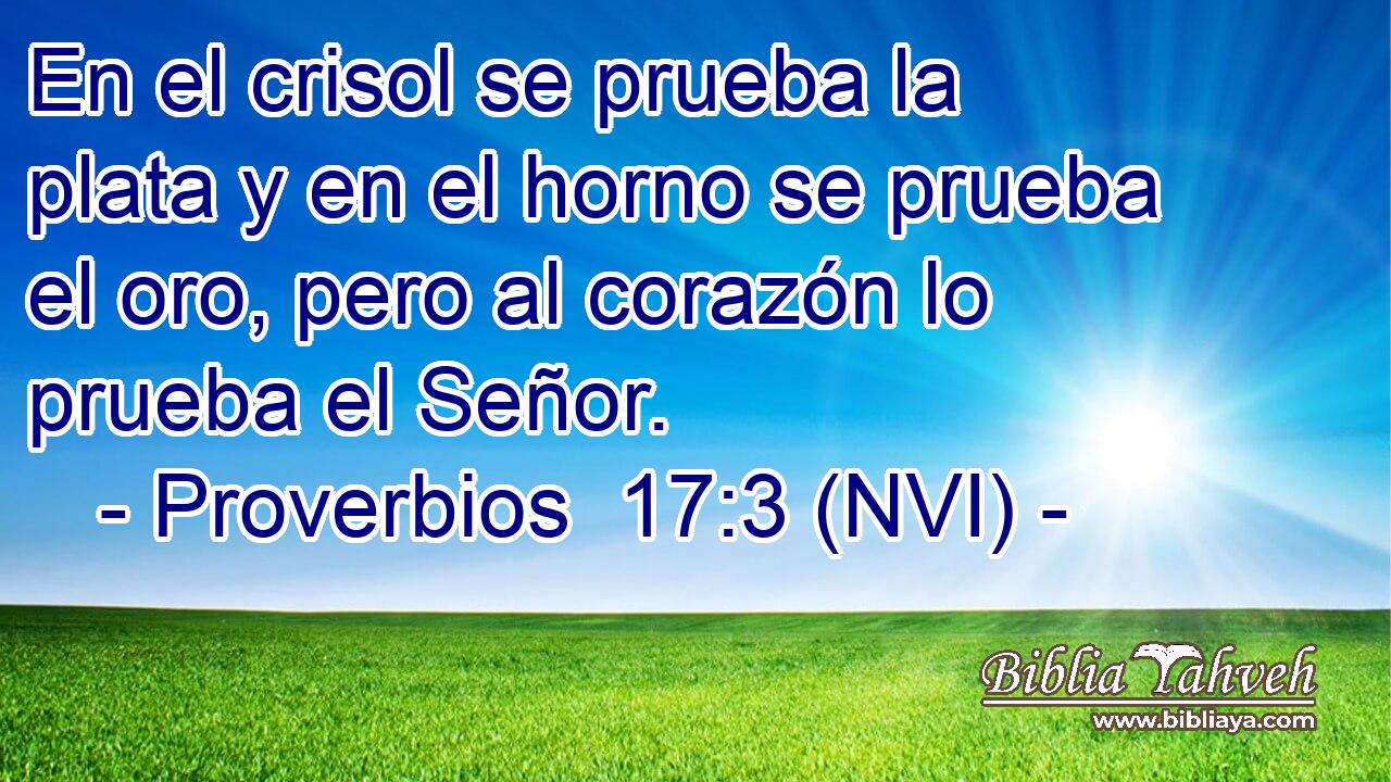  En el crisol se prueba la plata y en el horno se prueba el oro, pero al corazón lo prueba el Señor. 