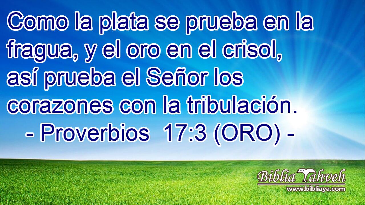  Como la plata se prueba en la fragua, y el oro en el crisol, así prueba el Señor los corazones con la tribulación. 