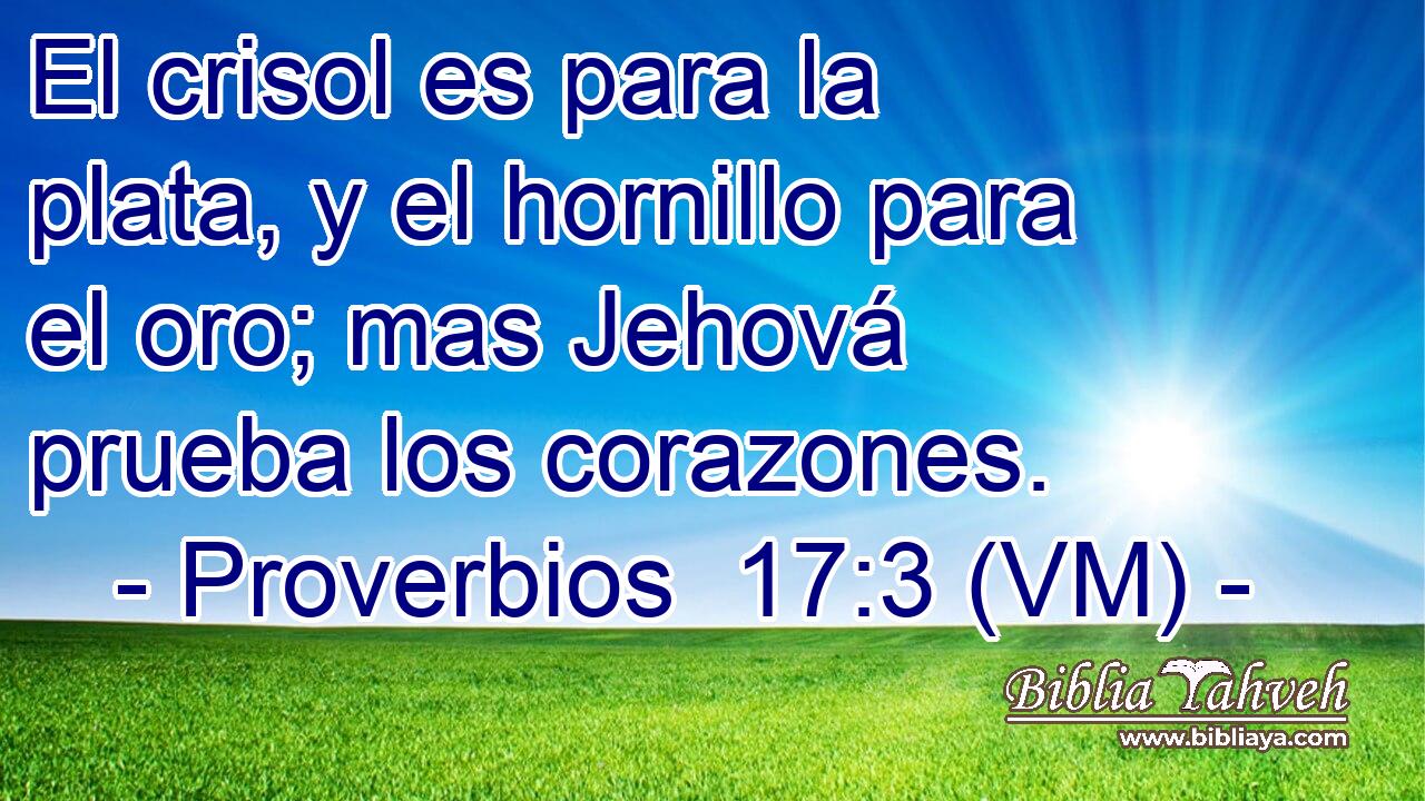  El crisol es para la plata, y el hornillo para el oro; mas Jehová prueba los corazones. 