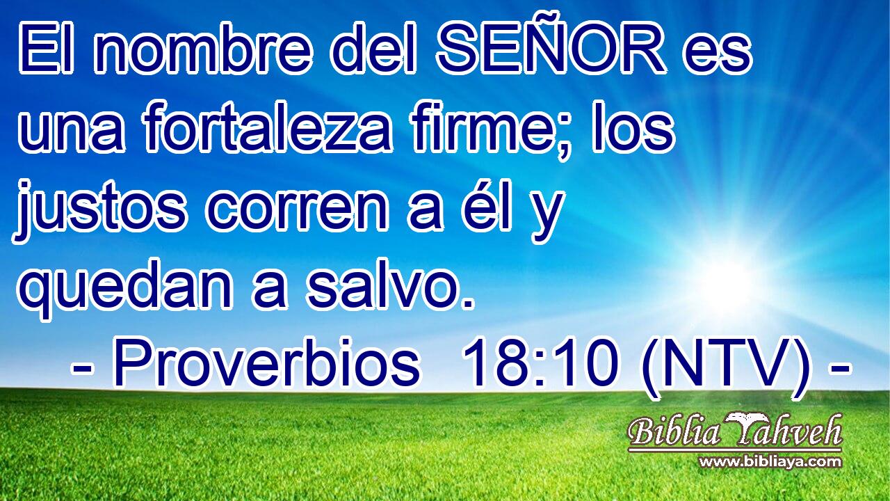El nombre del SEÑOR es una fortaleza firme; los justos corren a él y quedan a salvo.