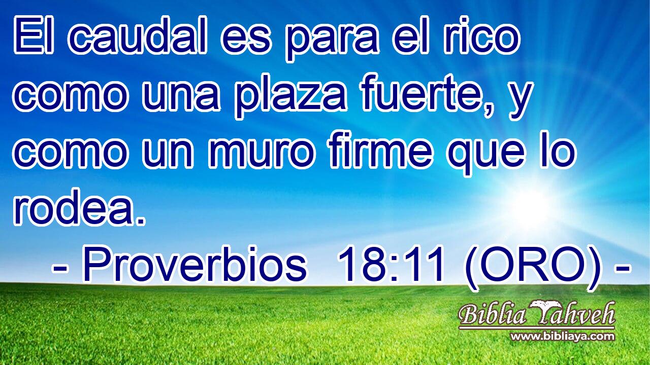  El caudal es para el rico como una plaza fuerte, y como un muro firme que lo rodea. 
