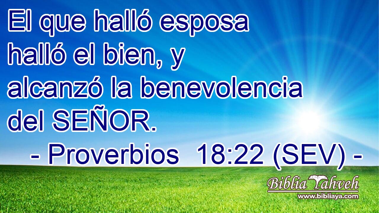 El que halló esposa halló el bien, y alcanzó la benevolencia del SEÑOR.
