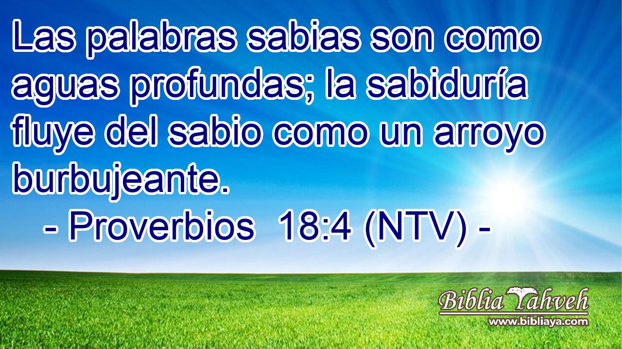 Las palabras sabias son como aguas profundas; la sabiduría fluye del sabio como un arroyo burbujeante.
