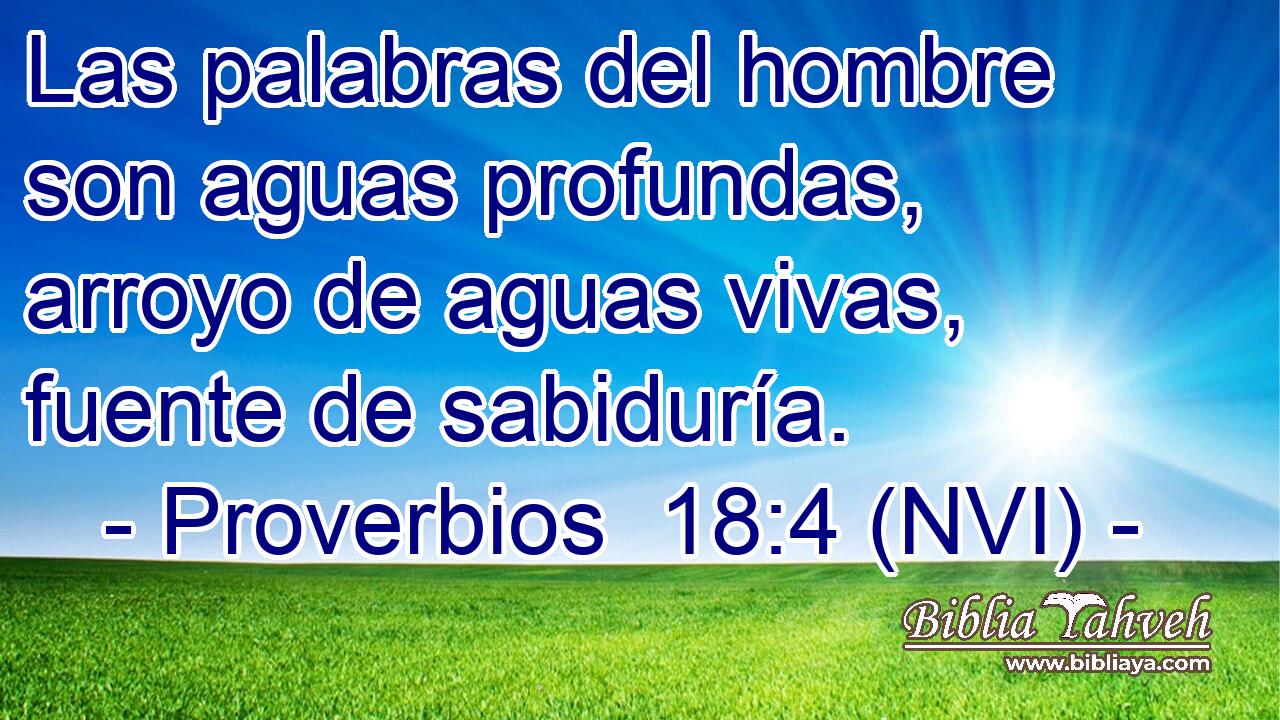  Las palabras del hombre son aguas profundas, arroyo de aguas vivas, fuente de sabiduría. 
