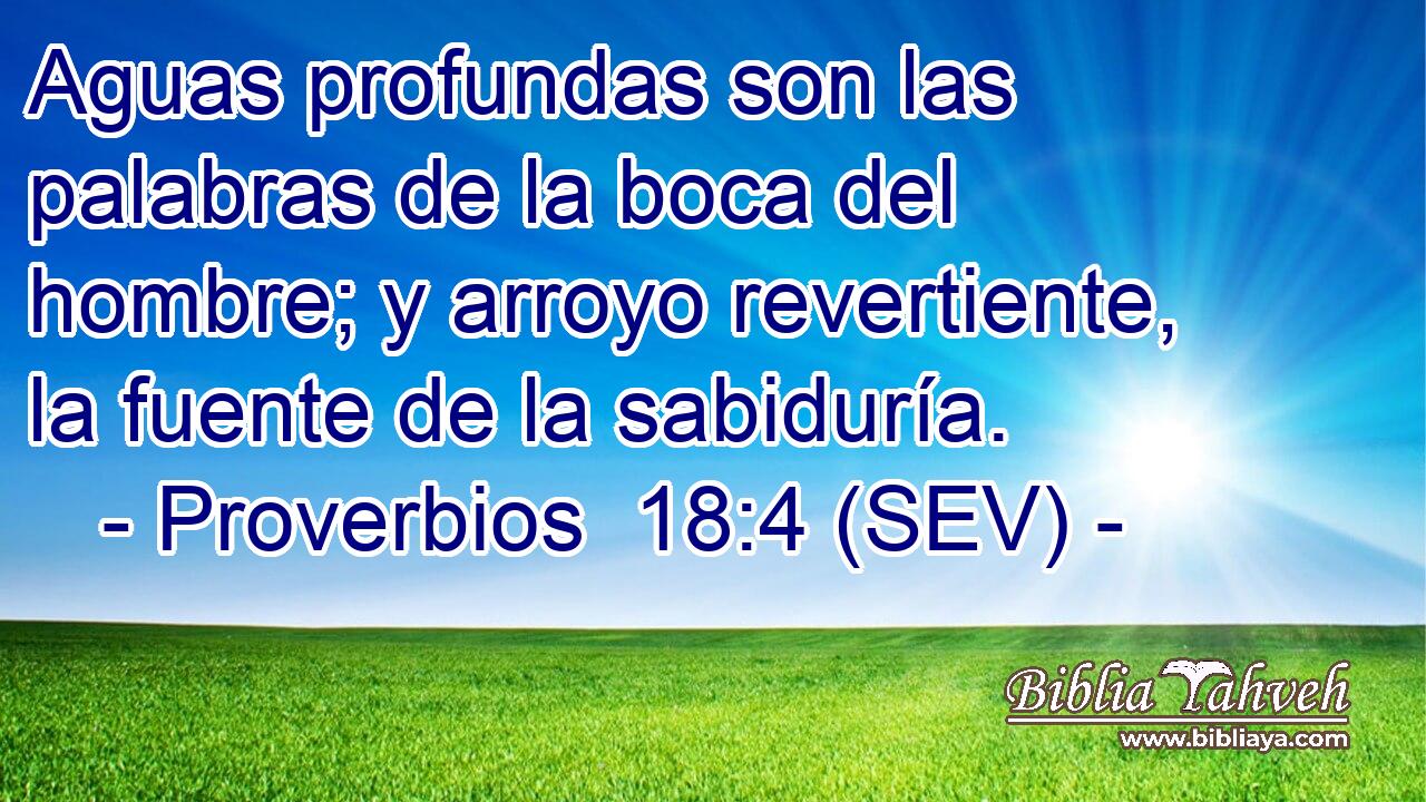 Aguas profundas son las palabras de la boca del hombre; y arroyo revertiente, la fuente de la sabiduría.