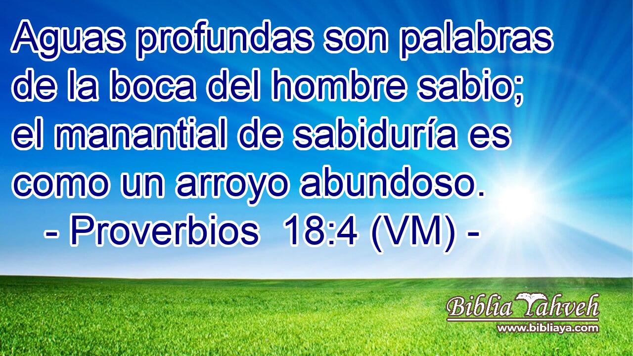  Aguas profundas son palabras de la boca del hombre sabio; el manantial de sabiduría es como un arroyo abundoso. 