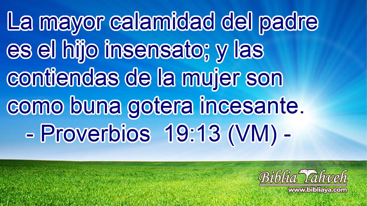  La mayor calamidad del padre es el hijo insensato; y las contiendas de la mujer son como buna gotera incesante. 