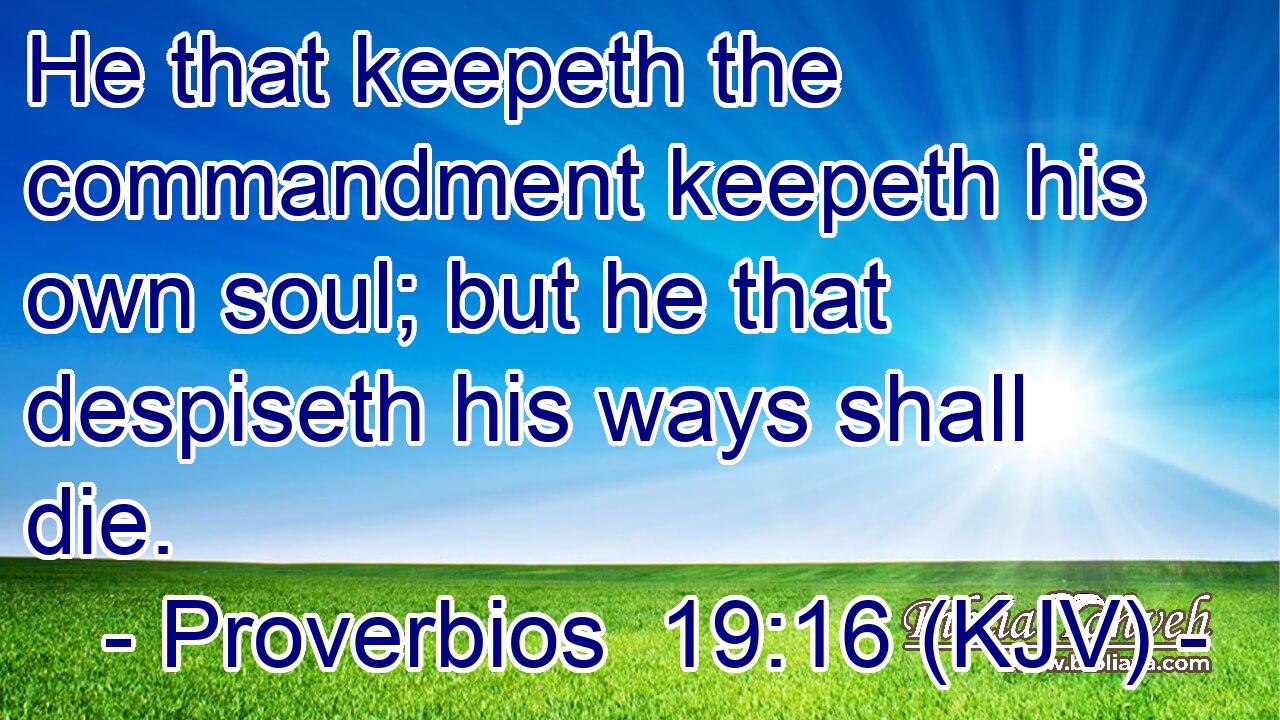He that keepeth the commandment keepeth his own soul; but he that despiseth his ways shall die.