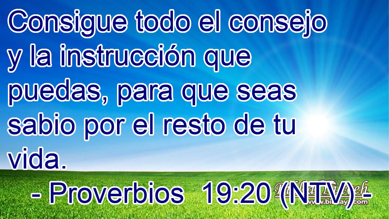 Consigue todo el consejo y la instrucción que puedas, para que seas sabio por el resto de tu vida.