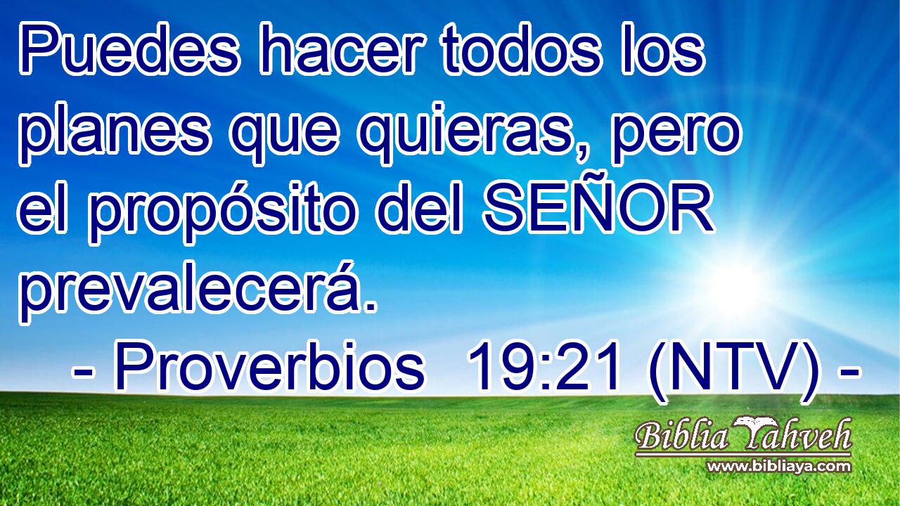 Puedes hacer todos los planes que quieras, pero el propósito del SEÑOR prevalecerá.