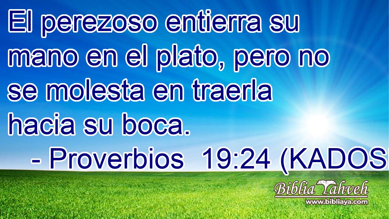  El perezoso entierra su mano en el plato, pero no se molesta en traerla hacia su boca. 