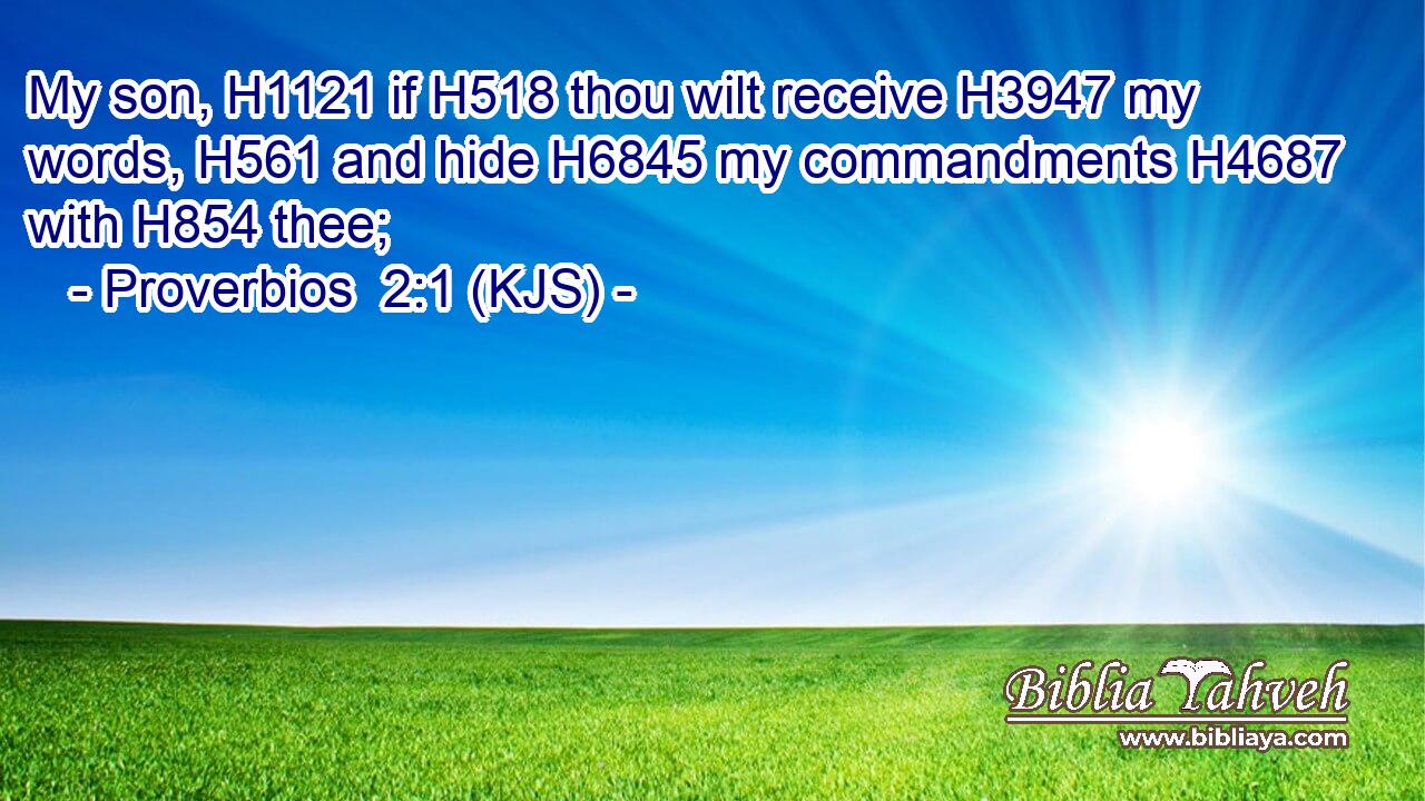 My son, H1121 if H518 thou wilt receive H3947 my words, H561 and hide H6845 my commandments H4687 with H854 thee;
