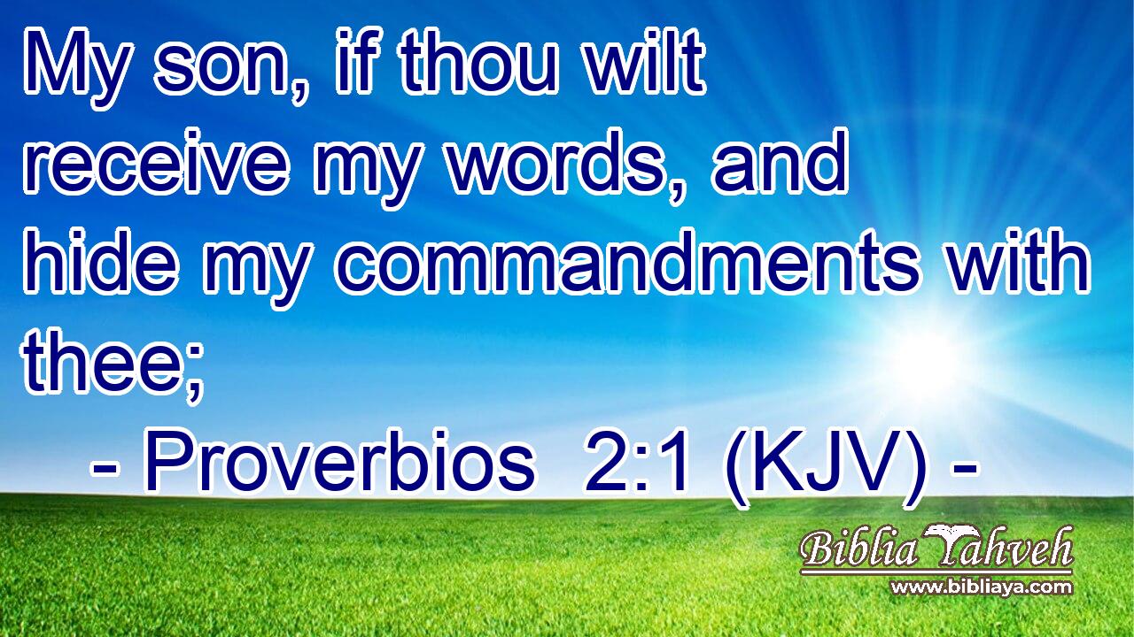 My son, if thou wilt receive my words, and hide my commandments with thee;