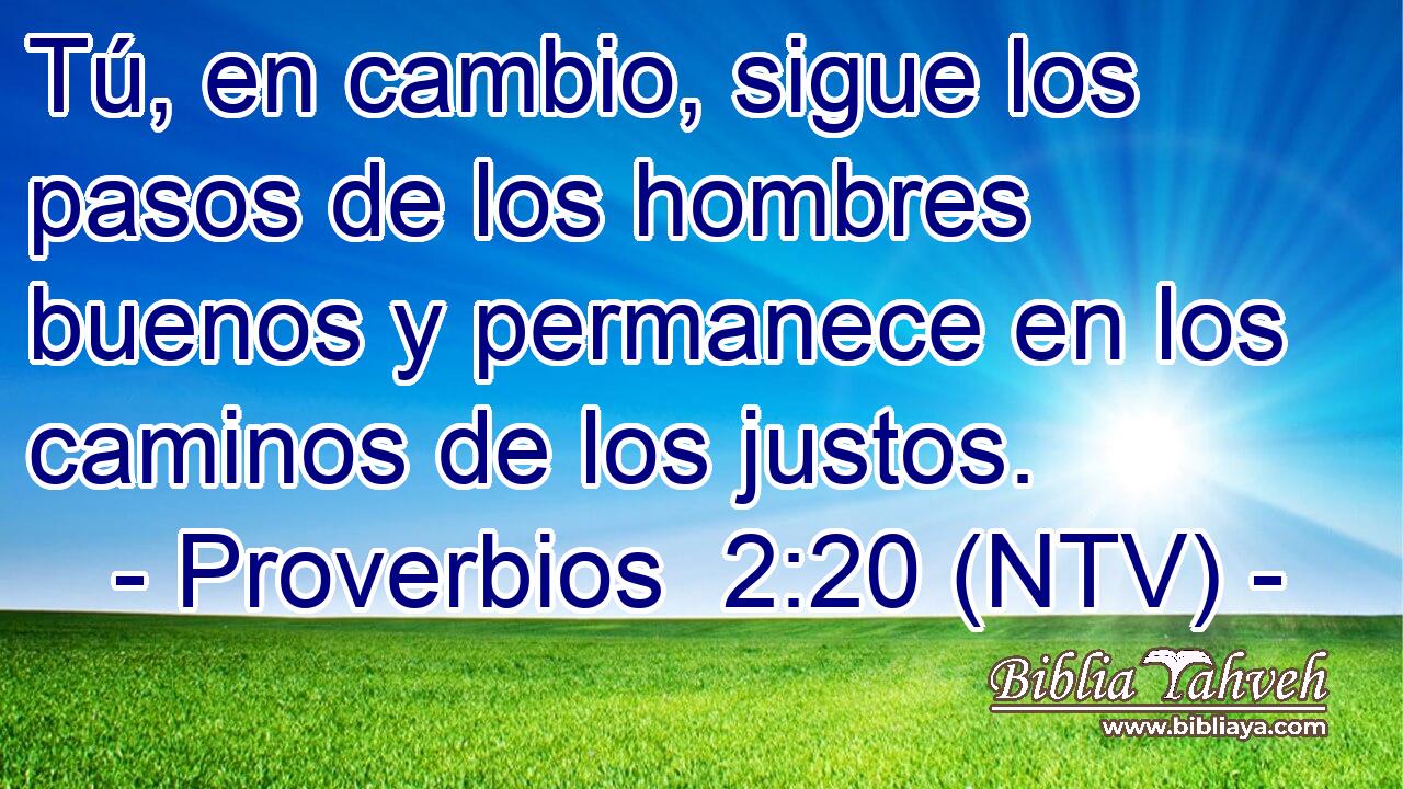Tú, en cambio, sigue los pasos de los hombres buenos y permanece en los caminos de los justos.