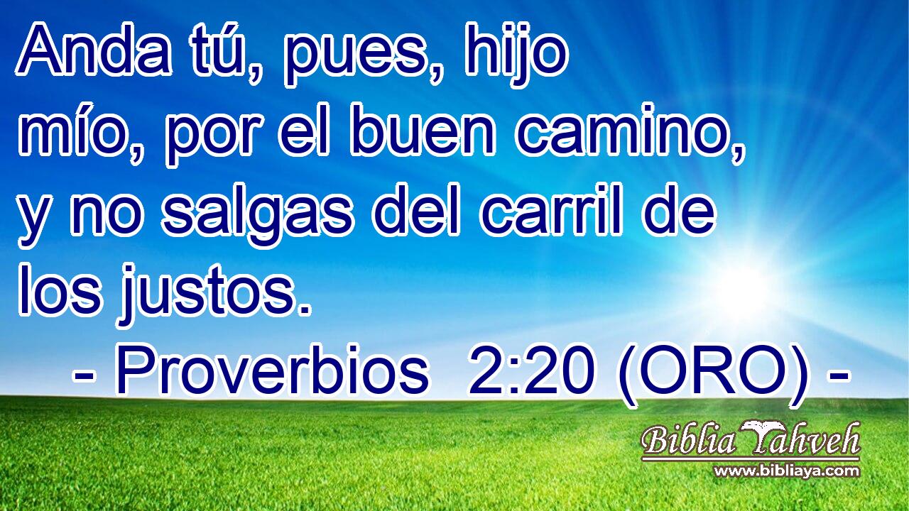  Anda tú, pues, hijo mío, por el buen camino, y no salgas del carril de los justos. 