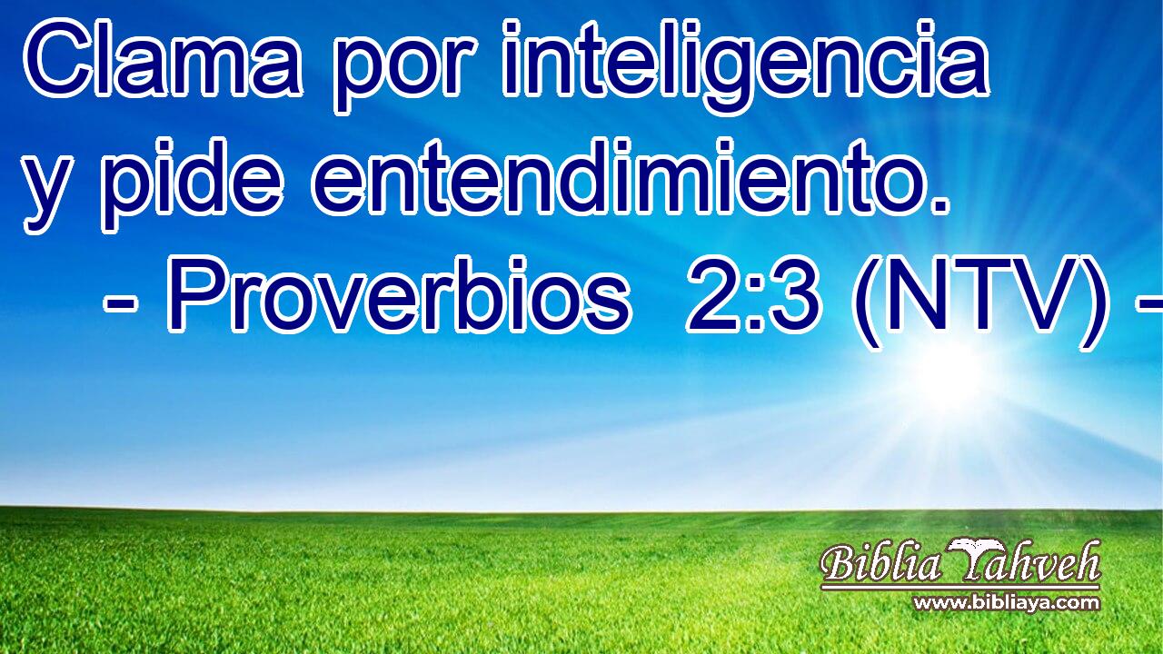 Clama por inteligencia y pide entendimiento.