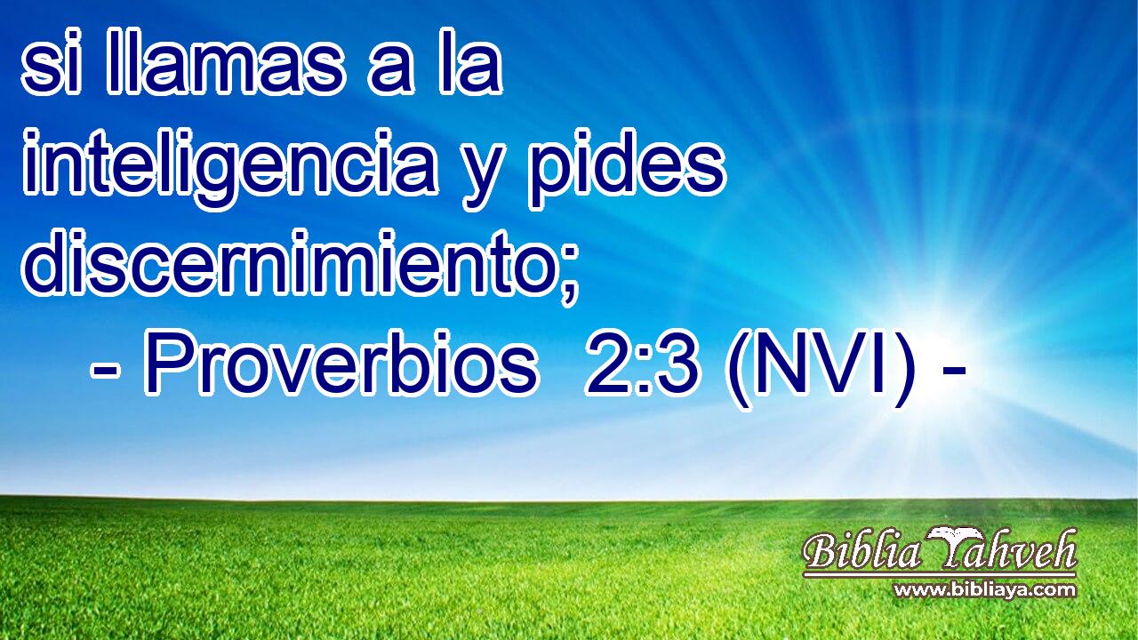  si llamas a la inteligencia y pides discernimiento; 
