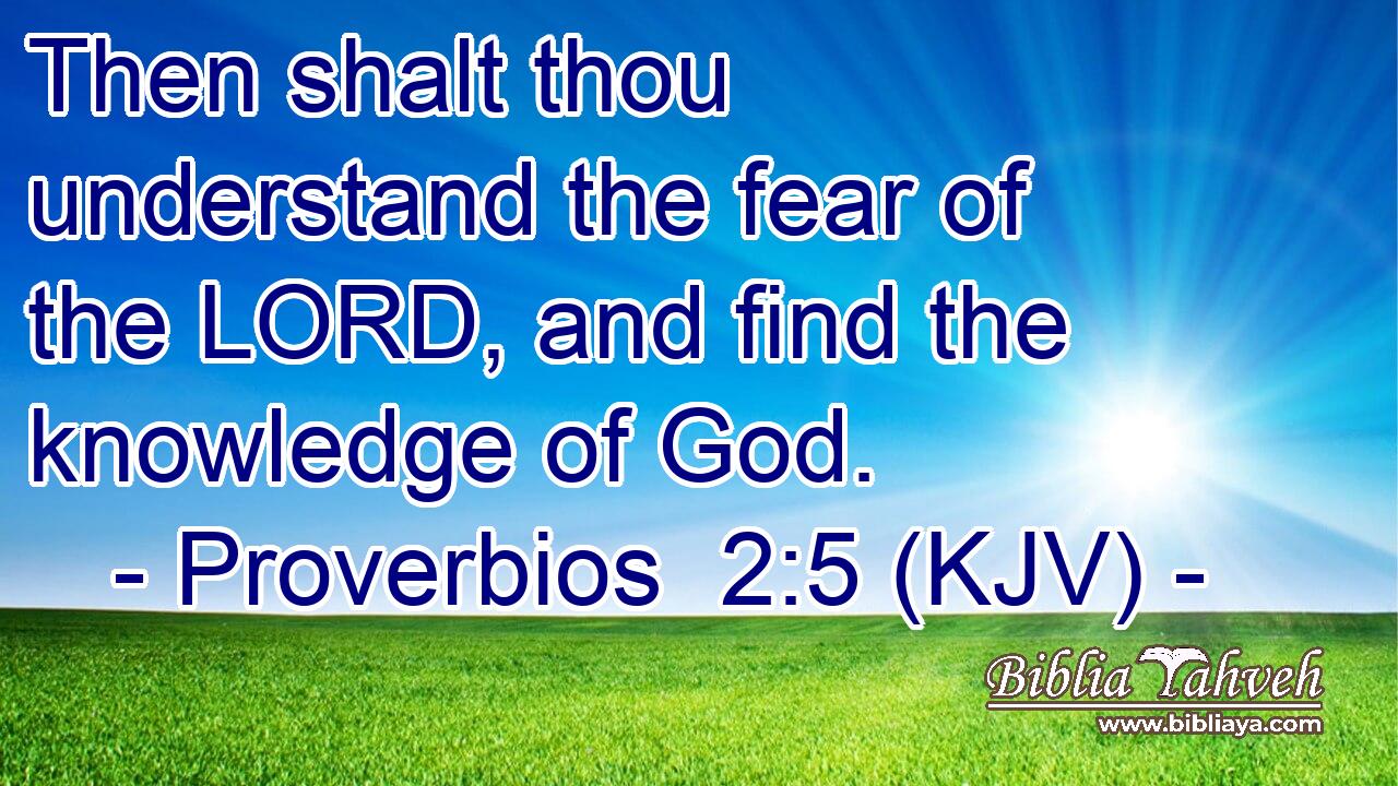 Then shalt thou understand the fear of the LORD, and find the knowledge of God.
