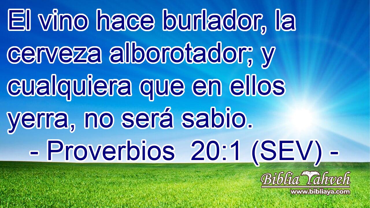 El vino hace burlador, la cerveza alborotador; y cualquiera que en ellos yerra, no será sabio.