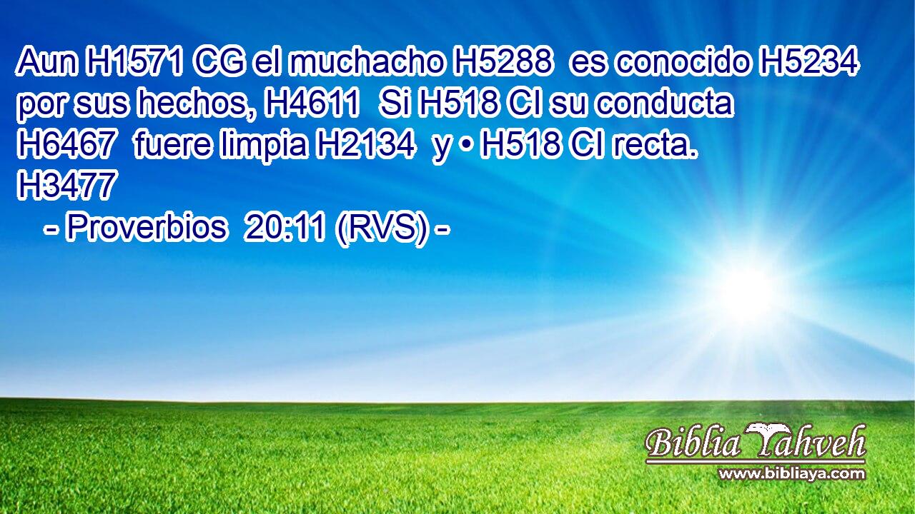 Aun H1571 CG el muchacho H5288  es conocido H5234  por sus hechos, H4611  Si H518 CI su conducta H6467  fuere limpia H2134  y • H518 CI recta. H3477  