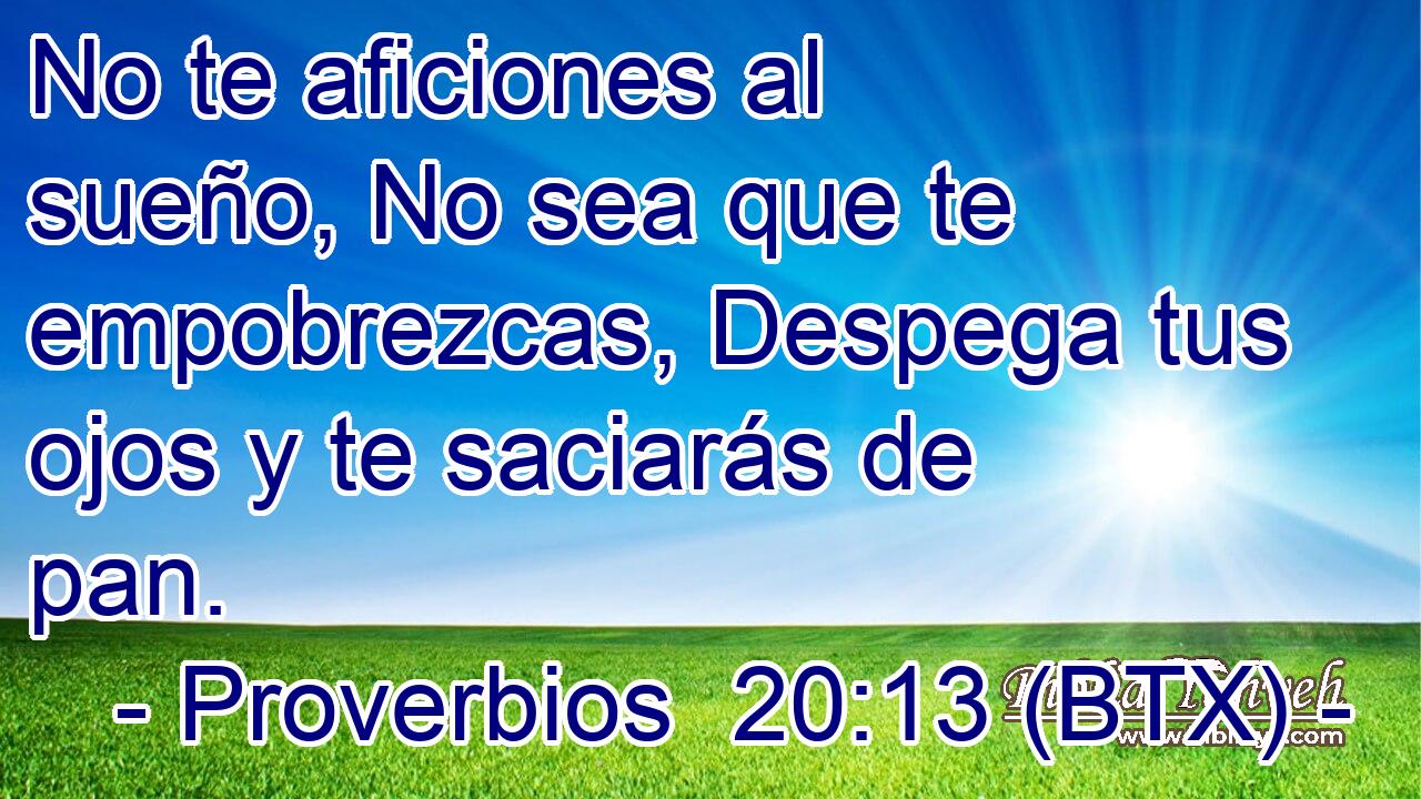 No te aficiones al sueño, No sea que te empobrezcas, Despega tus ojos y te saciarás de pan.