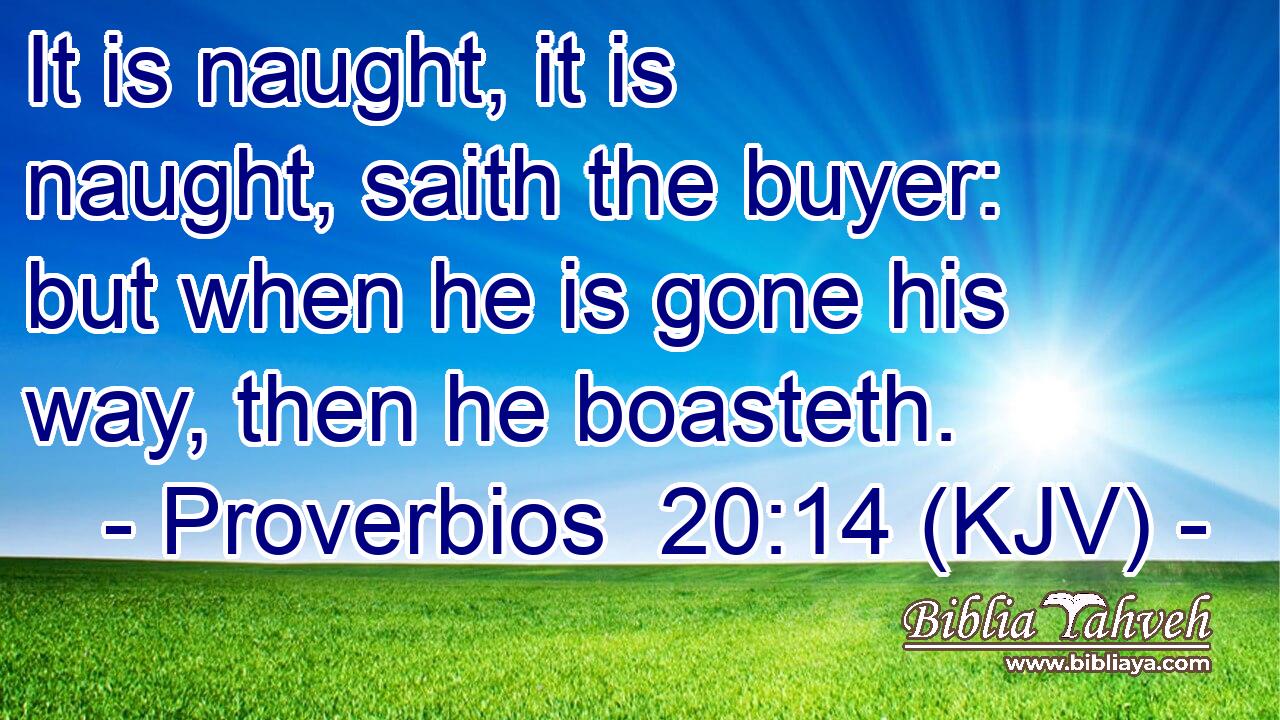 It is naught, it is naught, saith the buyer: but when he is gone his way, then he boasteth.