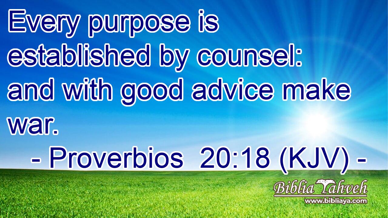 Every purpose is established by counsel: and with good advice make war.