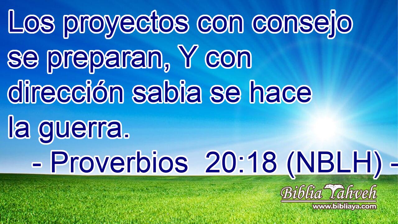  Los proyectos con consejo se preparan, Y con dirección sabia se hace la guerra. 