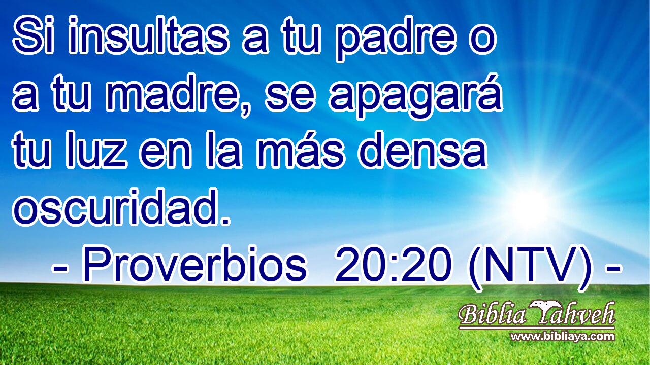 Si insultas a tu padre o a tu madre, se apagará tu luz en la más densa oscuridad.