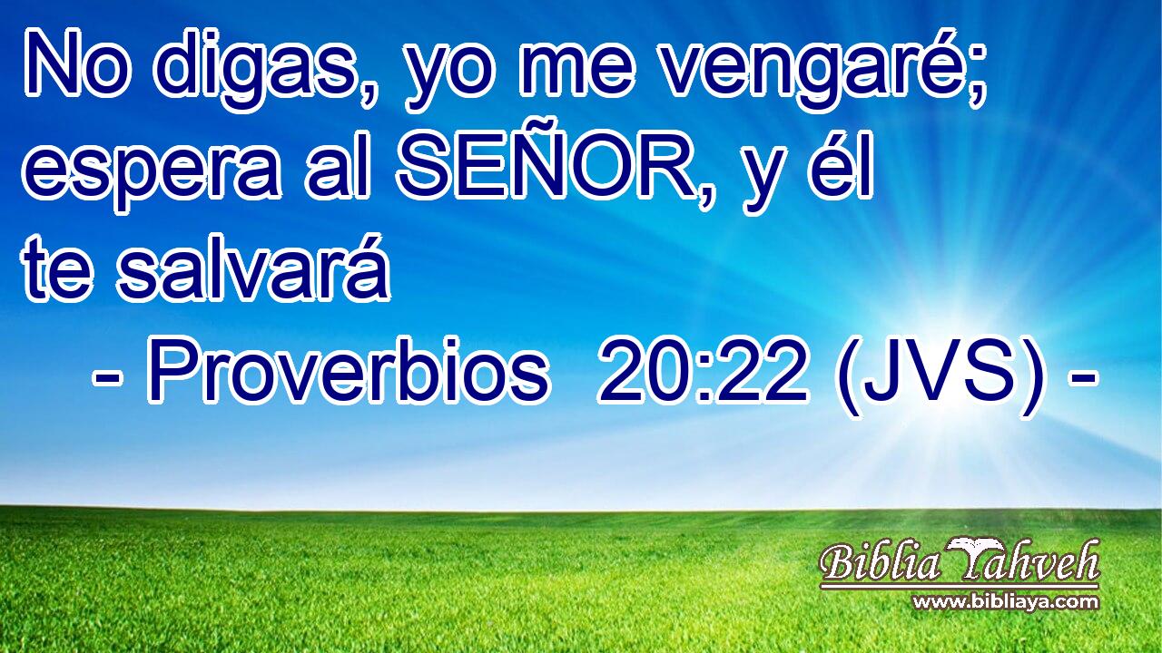 No digas, yo me vengaré; espera al SEÑOR, y él te salvará