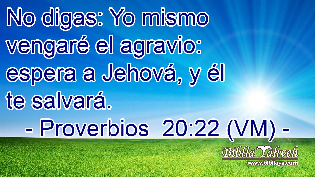  No digas: Yo mismo vengaré el agravio: espera a Jehová, y él te salvará. 