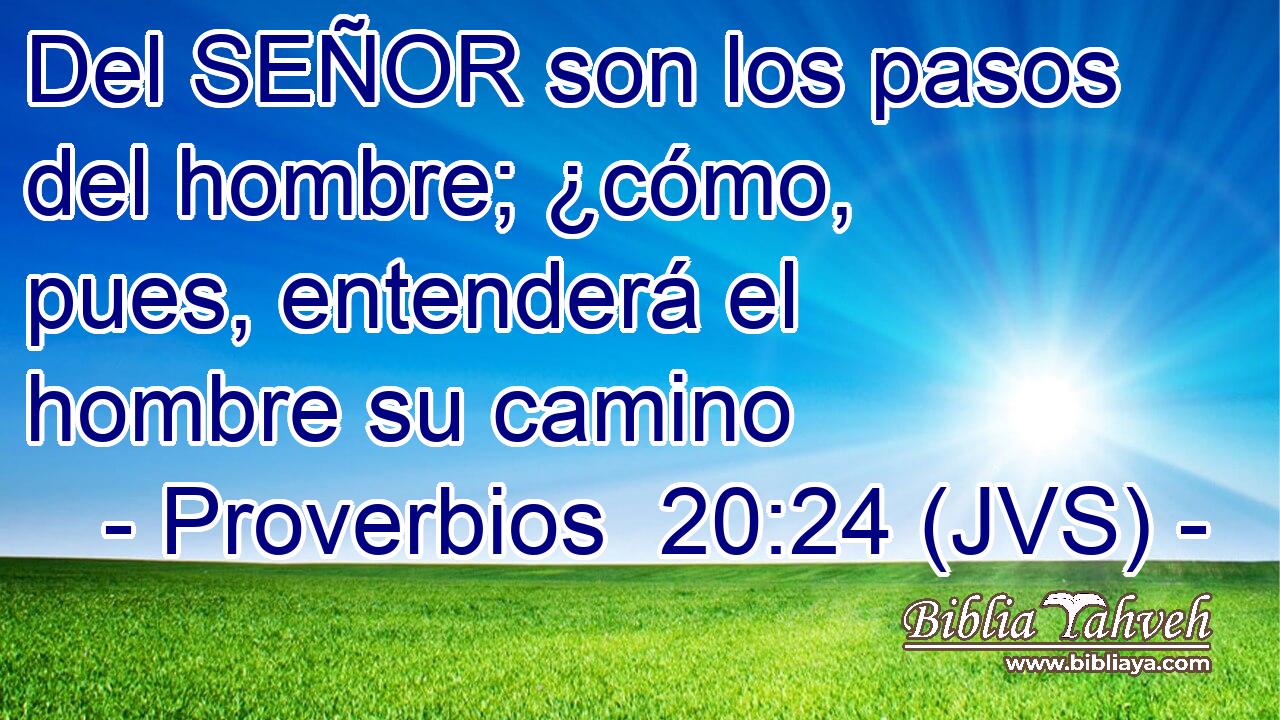 Del SEÑOR son los pasos del hombre; ¿cómo, pues, entenderá el hombre su camino
