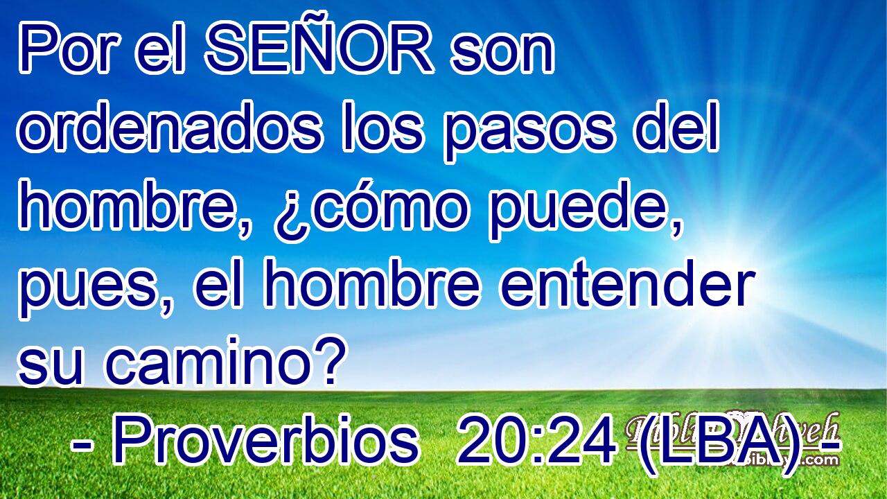 Por el SEÑOR son ordenados los pasos del hombre, ¿cómo puede, pues, el hombre entender su camino?