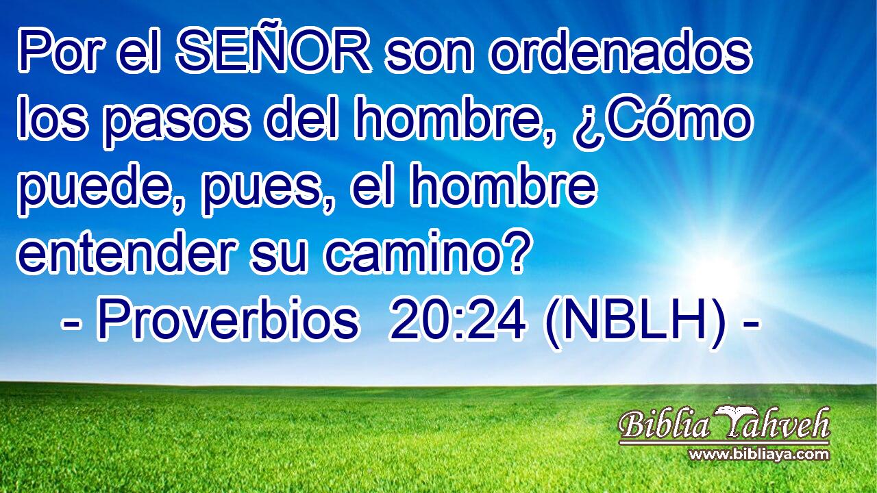  Por el SEÑOR son ordenados los pasos del hombre, ¿Cómo puede, pues, el hombre entender su camino? 