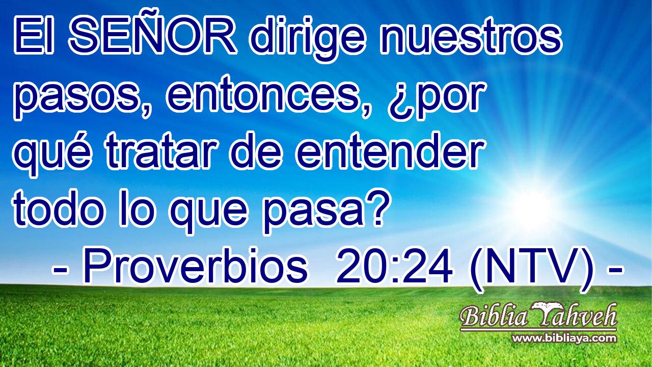 El SEÑOR dirige nuestros pasos, entonces, ¿por qué tratar de entender todo lo que pasa?