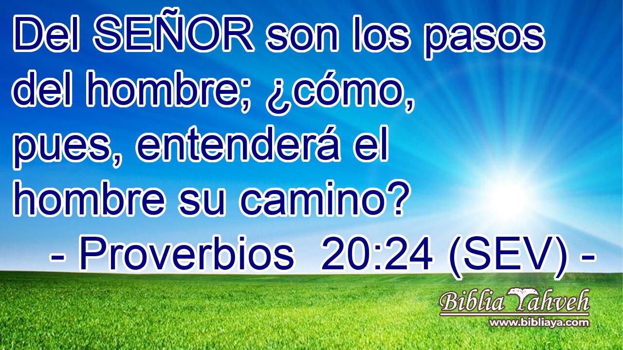 Del SEÑOR son los pasos del hombre; ¿cómo, pues, entenderá el hombre su camino?