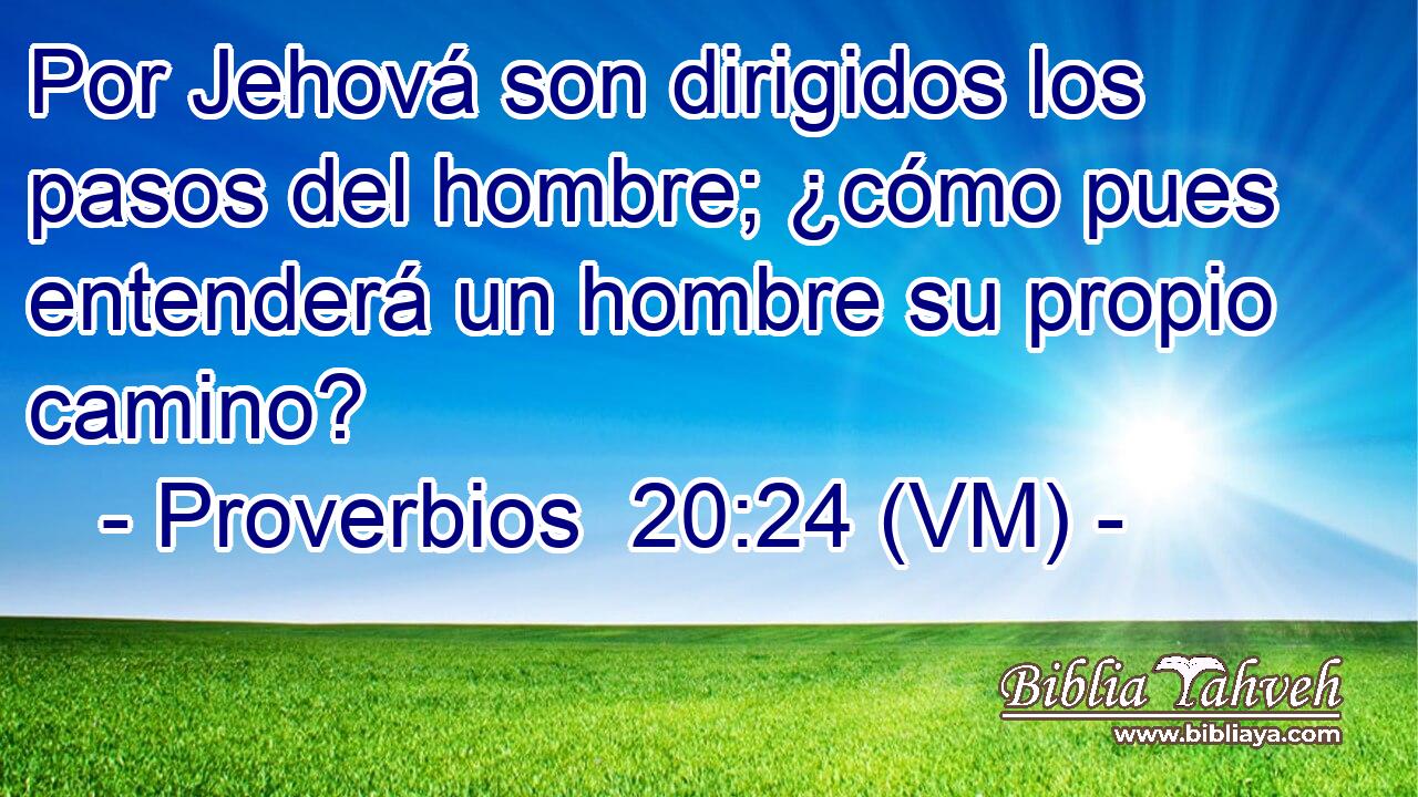  Por Jehová son dirigidos los pasos del hombre; ¿cómo pues entenderá un hombre su propio camino? 