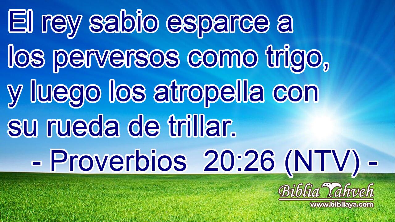 El rey sabio esparce a los perversos como trigo, y luego los atropella con su rueda de trillar.