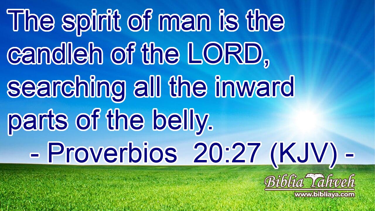 The spirit of man is the candleh of the LORD, searching all the inward parts of the belly.