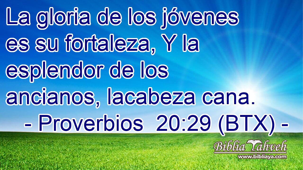 La gloria de los jóvenes es su fortaleza, Y la esplendor de los ancianos, lacabeza cana.