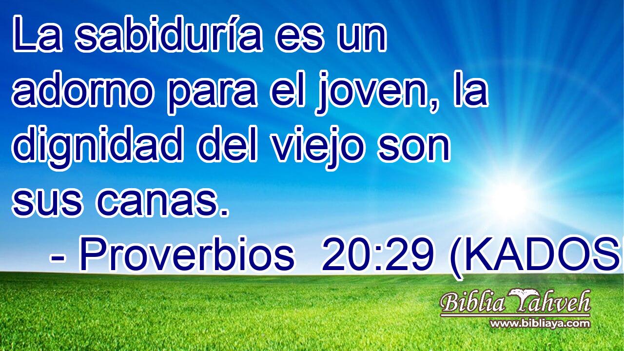  La sabiduría es un adorno para el joven, la dignidad del viejo son sus canas. 