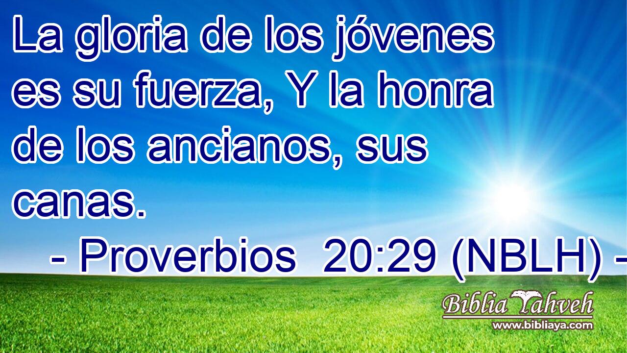  La gloria de los jóvenes es su fuerza, Y la honra de los ancianos, sus canas. 