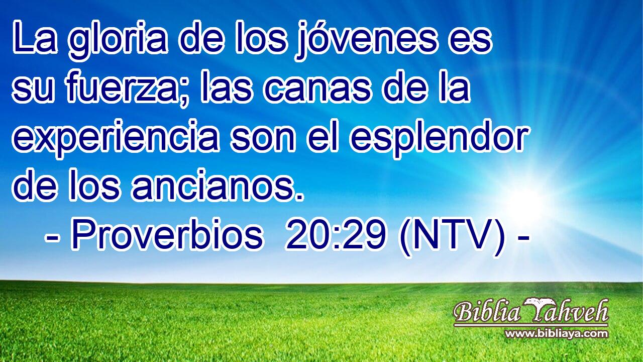 La gloria de los jóvenes es su fuerza; las canas de la experiencia son el esplendor de los ancianos.