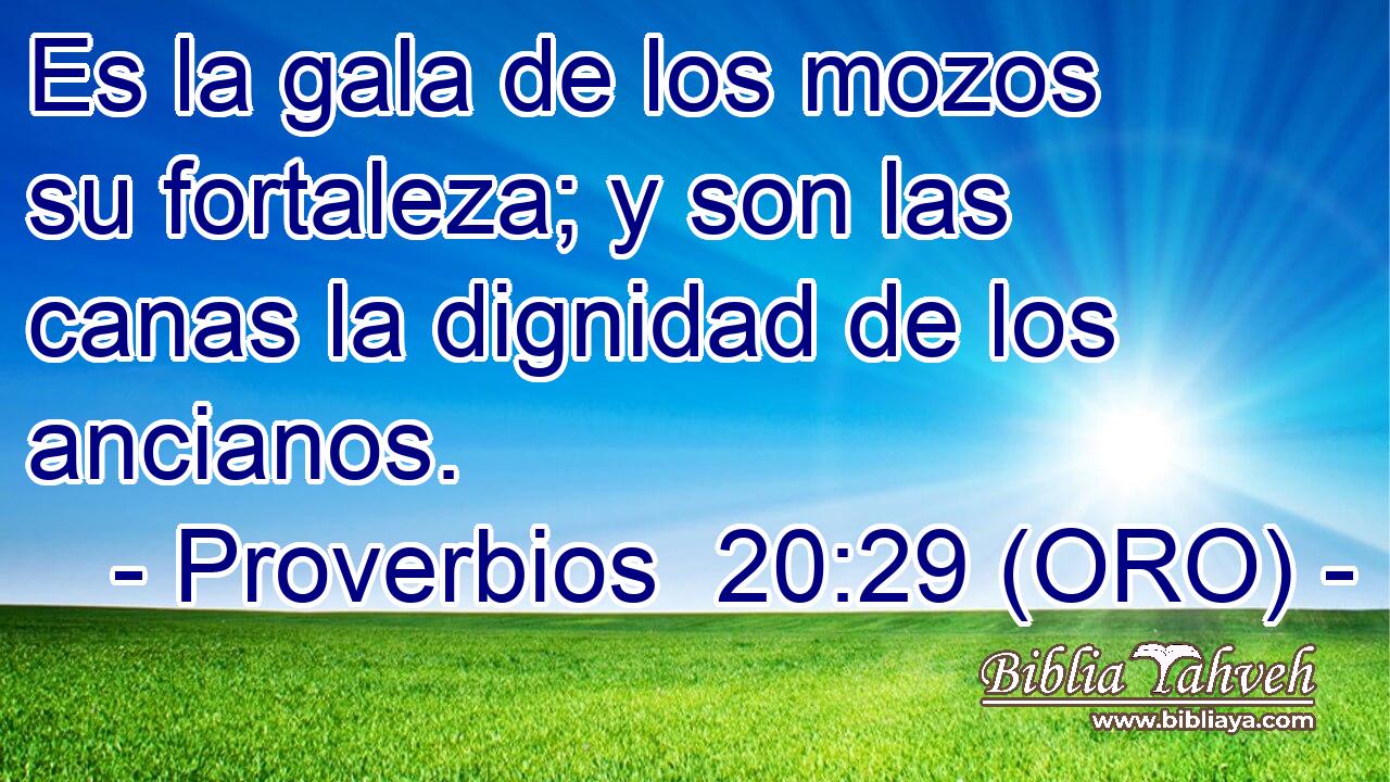  Es la gala de los mozos su fortaleza; y son las canas la dignidad de los ancianos. 