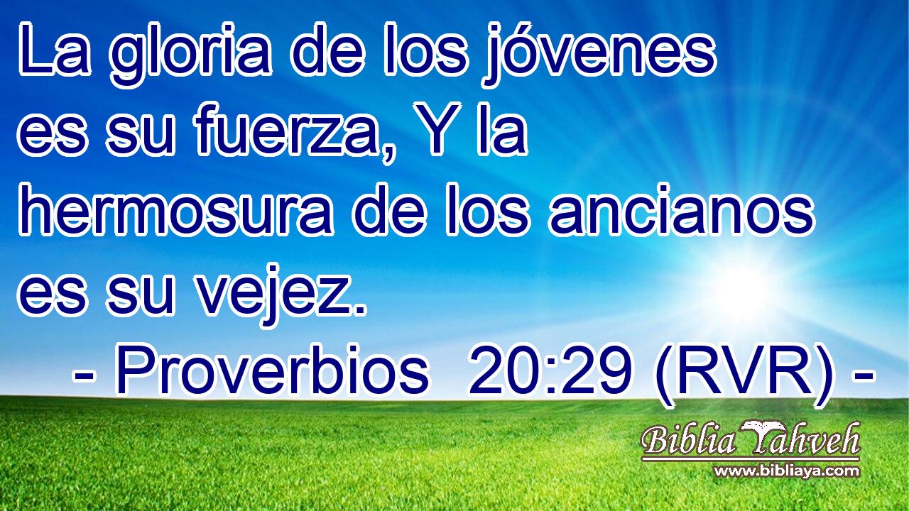 La gloria de los jóvenes es su fuerza, Y la hermosura de los ancianos es su vejez.
