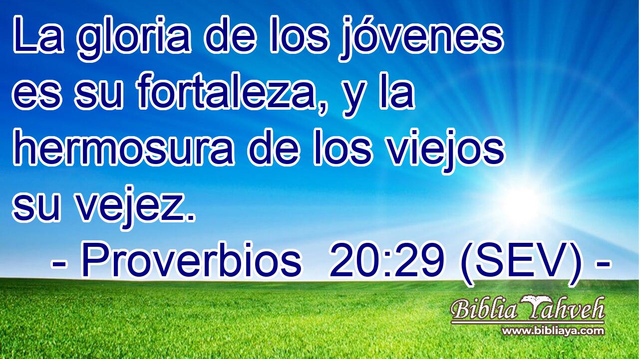 La gloria de los jóvenes es su fortaleza, y la hermosura de los viejos su vejez.